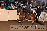 09yn-17220 proof