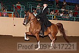 09yn-17221 proof