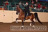 09yn-17222 proof