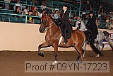 09yn-17223 proof