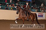 09yn-17224 proof