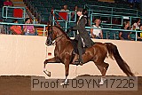 09yn-17226 proof