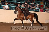 09yn-17227 proof