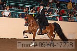 09yn-17228 proof
