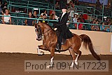 09yn-17229 proof