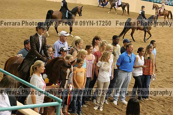Proof 09yn-17250