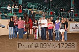 09yn-17258 proof