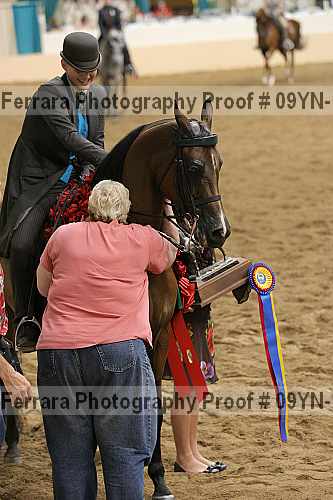 Proof 09yn-17261