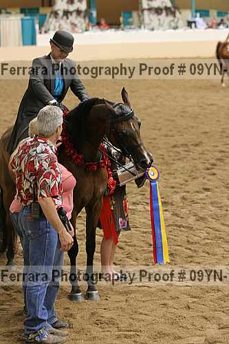 Proof 09yn-17262