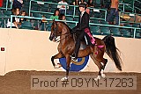 09yn-17263 proof