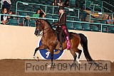 09yn-17264 proof