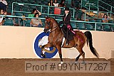 09yn-17267 proof