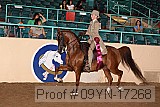 09yn-17268 proof