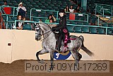 09yn-17269 proof