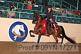09yn-17271 proof