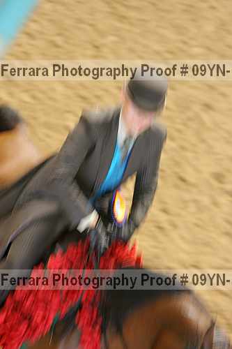 Proof 09yn-17273