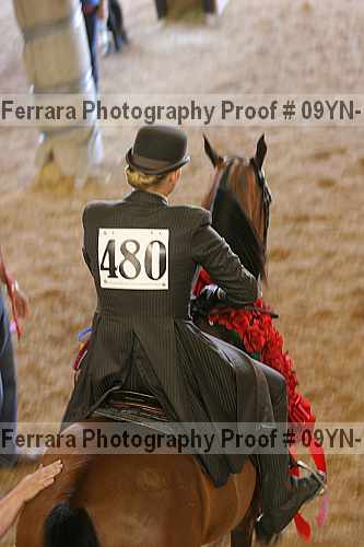 Proof 09yn-17275