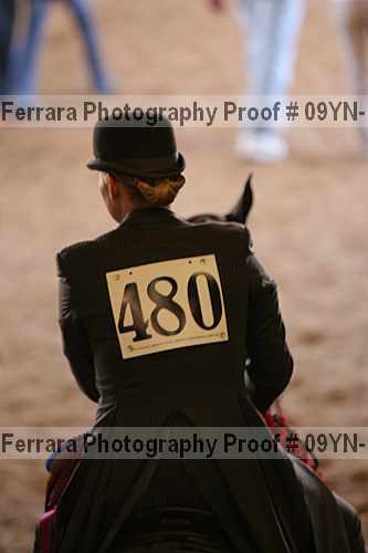 Proof 09yn-17277