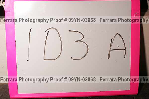 Proof 09yn-03868