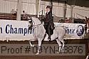 09yn-03876 proof