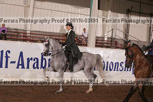 Proof 09yn-03891