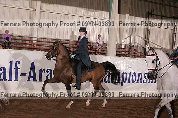 Proof 09yn-03893
