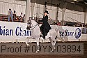 09yn-03894 proof