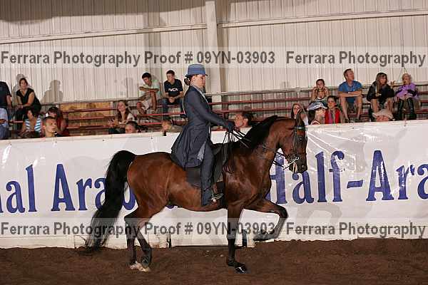 Proof 09yn-03903