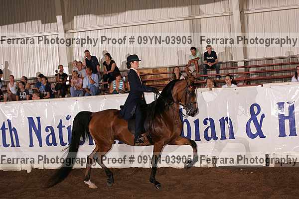 Proof 09yn-03905
