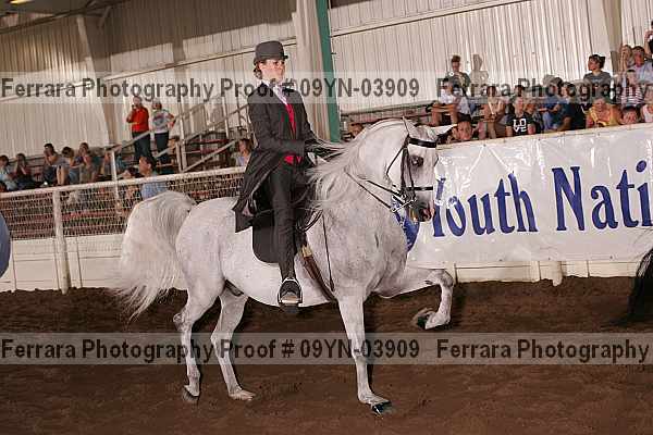 Proof 09yn-03909
