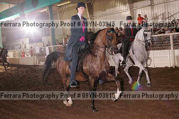 Proof 09yn-03915