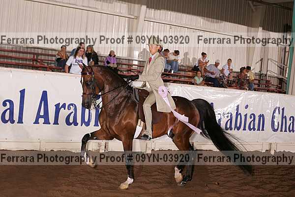 Proof 09yn-03920