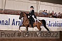 09yn-03922 proof