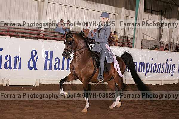 Proof 09yn-03925