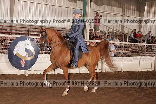 Proof 09yn-03928