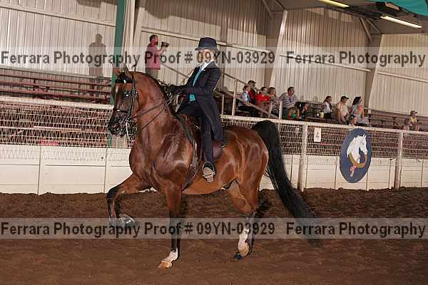Proof 09yn-03929