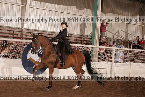Proof 09yn-03930