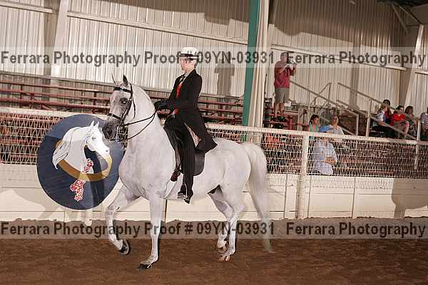 Proof 09yn-03931