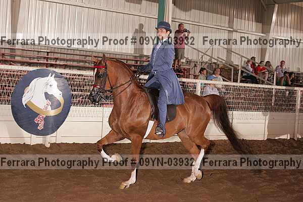 Proof 09yn-03932