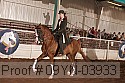 09yn-03933 proof