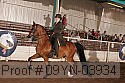 09yn-03934 proof