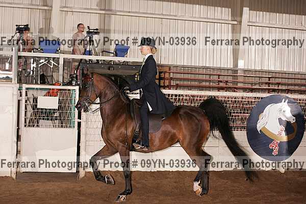 Proof 09yn-03936