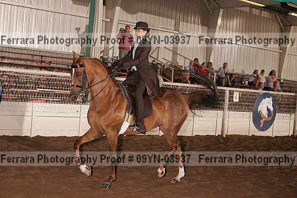 Proof 09yn-03937