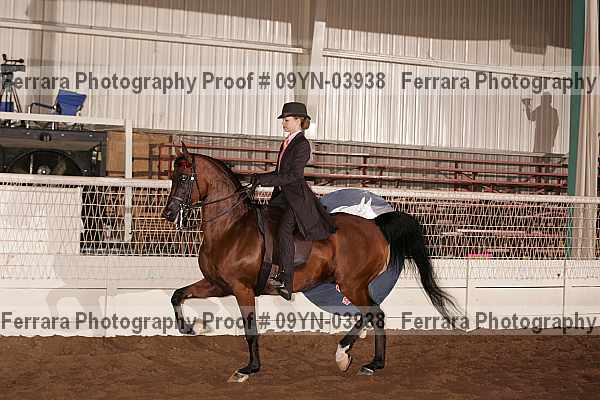 Proof 09yn-03938