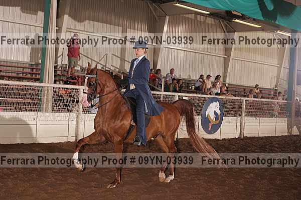 Proof 09yn-03939