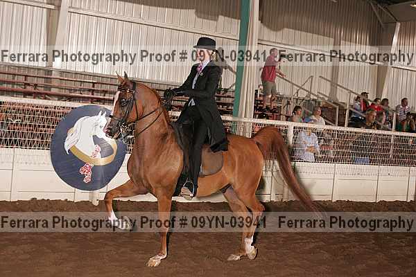 Proof 09yn-03941