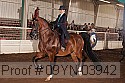 09yn-03942 proof