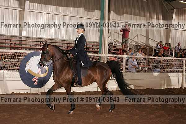 Proof 09yn-03943