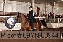 09yn-03944 proof