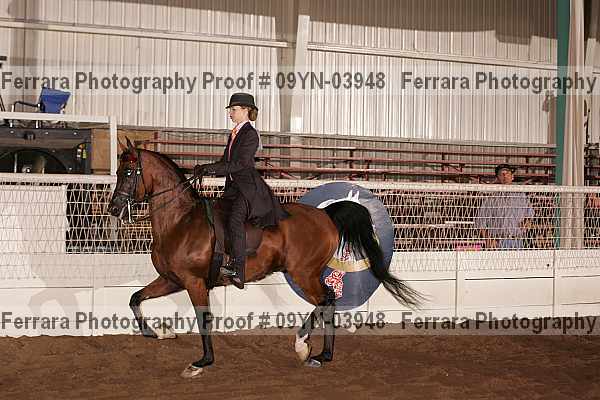 Proof 09yn-03948